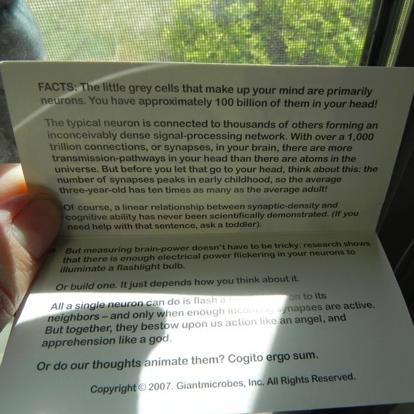 Graduation Brain Cell - Picture 4 of 4